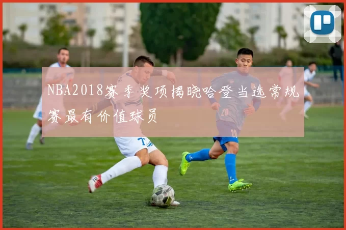 NBA2018赛季奖项揭晓哈登当选常规赛最有价值球员