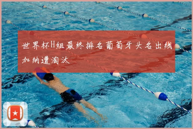 世界杯H组最终排名葡萄牙头名出线加纳遭淘汰