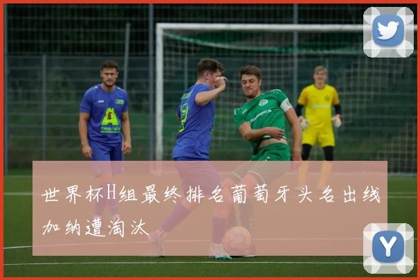 世界杯H组最终排名葡萄牙头名出线加纳遭淘汰