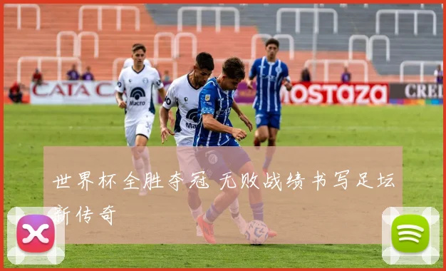 世界杯全胜夺冠 无败战绩书写足坛新传奇