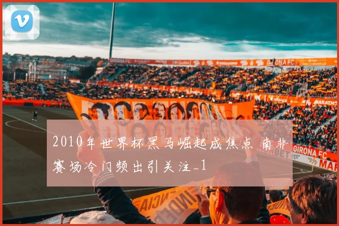 2010年世界杯黑马崛起成焦点 南非赛场冷门频出引关注_1