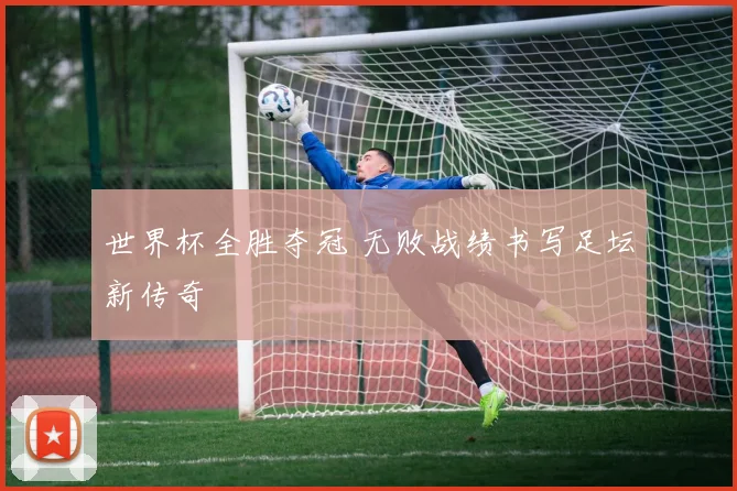 世界杯全胜夺冠 无败战绩书写足坛新传奇