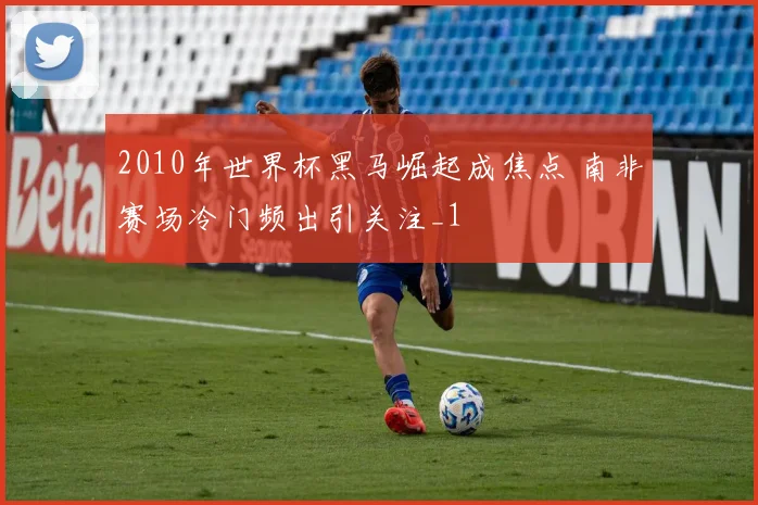 2010年世界杯黑马崛起成焦点 南非赛场冷门频出引关注_1